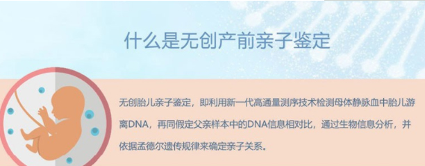 怀孕几个月凉山要如何办理怀孕亲子鉴定,凉山做孕期亲子鉴定准确吗